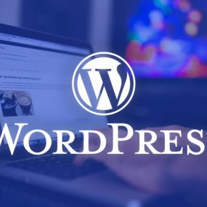 WordPress Kurulum Hizmeti